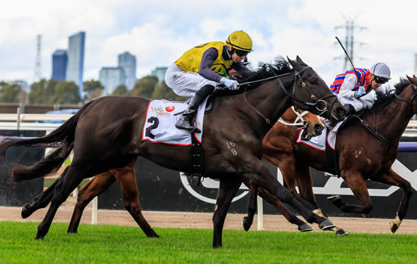 My Yankee Girl wins at Flemington - image Grant Courtney