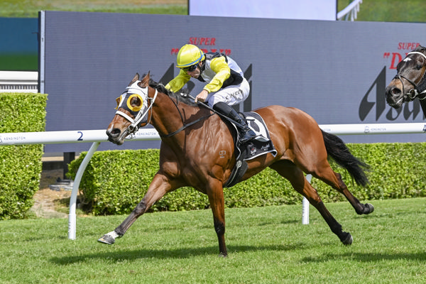 Maybe Moet wins at Randwick - image Bradley Photos