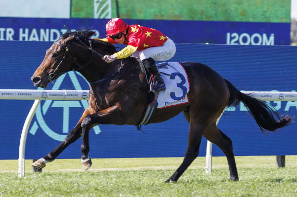 Mayfair wins at his second start at Rosehill - -image Steve Hart