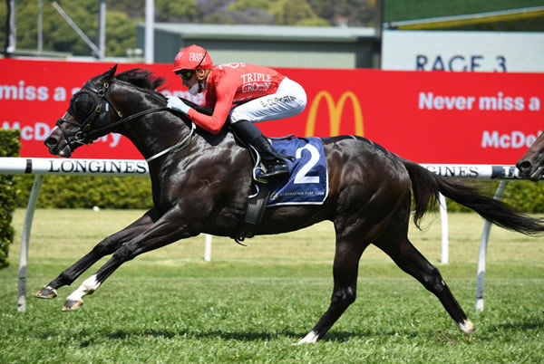 Mazu gets his act together to win the Sir Brian Crowley Stakes - image Steve Hart.