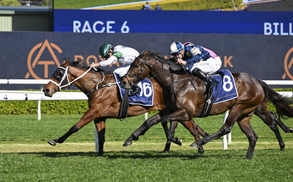 McHale wins the G3 Bill Ritchie - image Steve Hart