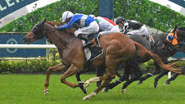 Meaningful Star prevails in a tight finish to the Bayleys Great Northern Challenge Stakes.  Photo: Kenton Wright (Race Images)