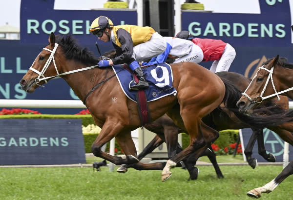 Medatsu (NZ) wins at Rosehill - image Steve Hart 