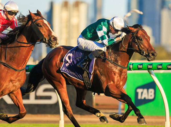 Media World wins the Listed Paris Lane Stakes - image Grant Courtney 
