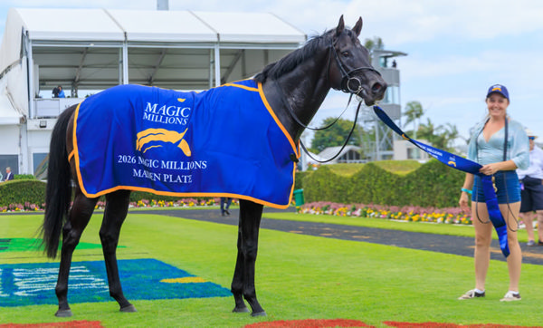 Melanite is too good looking - image Grant Courtney