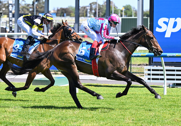 Melek wins on debut - image Pat Scala / Racing Photos