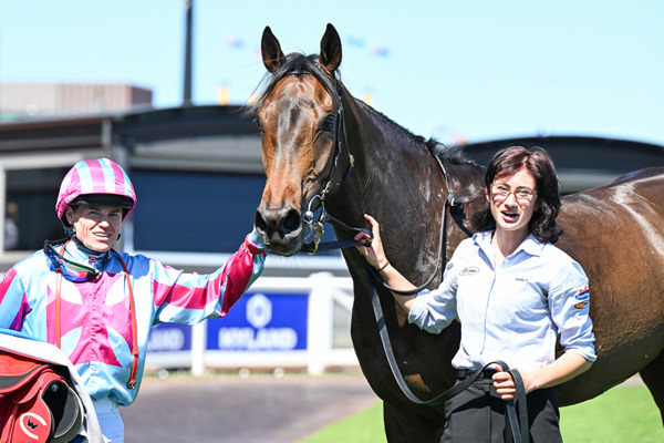Melek looks so much like his sire St Jean - image Racing Photos 