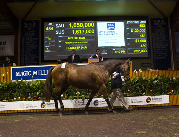 Melito topped the 2012 MM National Broodmare Sale.