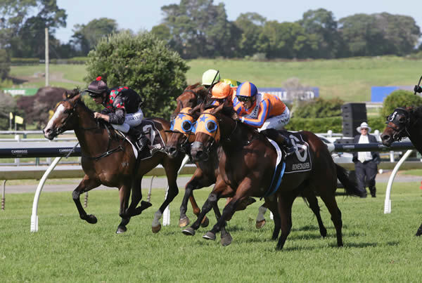 Melody Belle bursts to the front at Ellerslie on her way to victory in the Gr.1 Bonecrusher NZ Stakes (2000m) Photo Credit: Trish Dunell