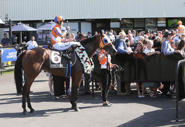Melody Belle poses alongside her large syndicate of adoring owners at Ellerslie Photo Credit: Trish Dunell