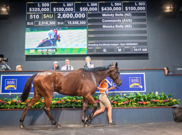 Melody Belle sells for $2.6 million at the National Broodmare Sale