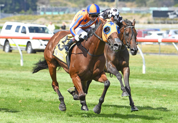 Melody Belle makes it Group One win number 13 with a comfortable victory at Trentham  Photo Credit: Race Images – Peter Rubery