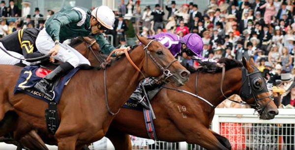 Merchant Navy was trained by Aidan O'Brien to win in 2018 with Storm Boy looking to replicate his success.
