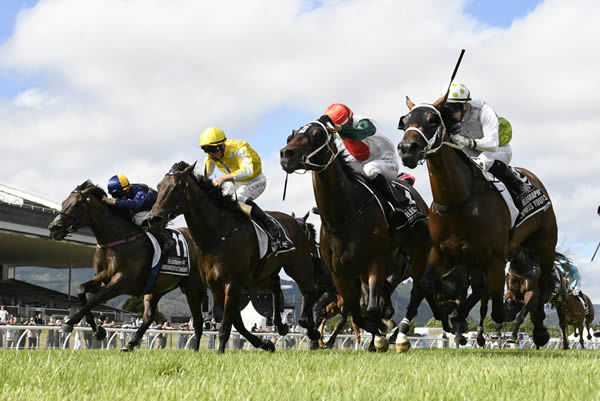 Mercurial edges out Express Yourself to claim Group One glory in the Gr.1 JR & N Berkett Telegraph (1200m) at Trentham. Photo: Peter Rubery (Race Images Palmerston North)