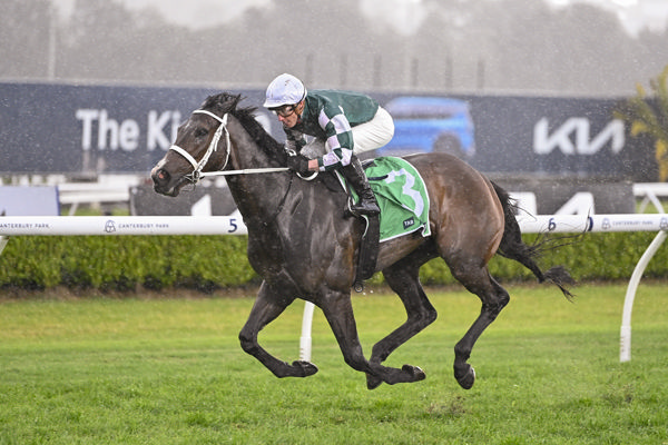Mergeila wins easily at Canterbury - image Bradley Photography