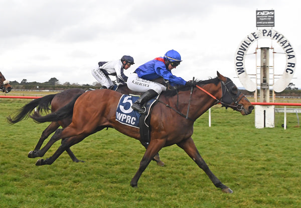 Meritable winning at Woodville on Sunday.  Photo: Peter Rubery (Race Images Palmerston North)
