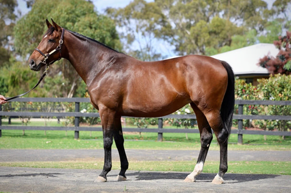 Merry Angelore sold for $140,000.