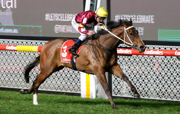 Meryl wins the G3 Scarborough Stakes - image Pat Scala / Racing Photos