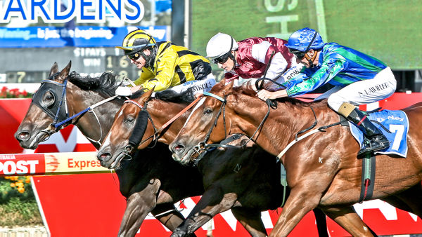 Metal Bender edges Sousa and Rock Kingdom in the Rosehill Guineas (Mark Smith)