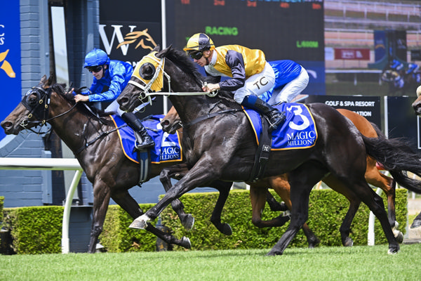 Michelangelo puts in a big bound on the outside to win - image Bradley Photos