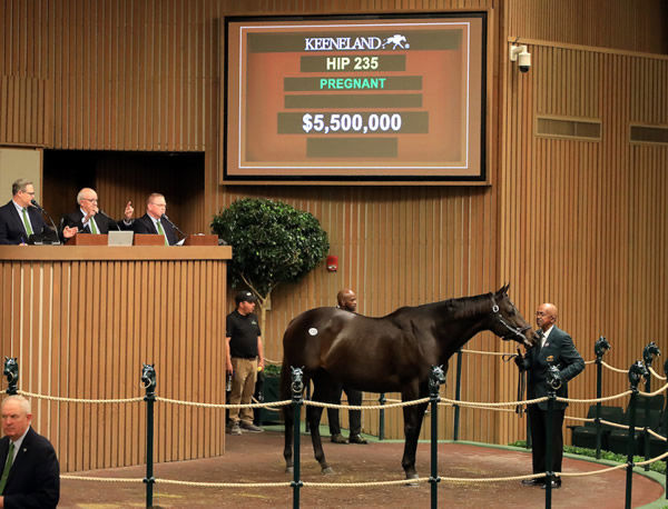 Midnight Bisou sold for $5.5million.