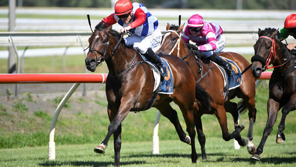 Midnight Edition winning the Gr.3 Concorde Stakes (1200m) at Pukekohe on Saturday. Photo: Kenton Wright (Race Images)