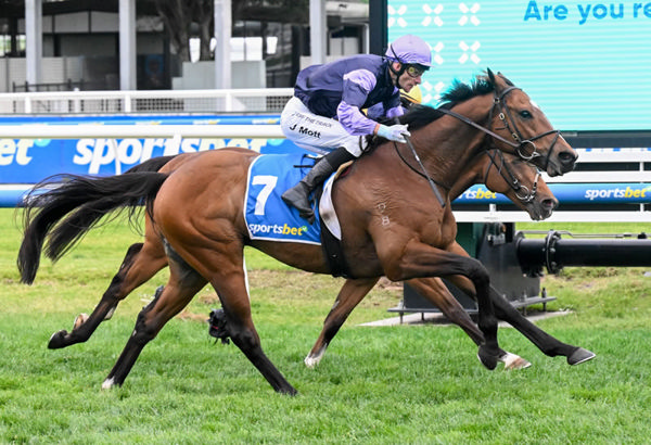 Mighty Ulysses is a winner at this course and distance - image Racing Photos
