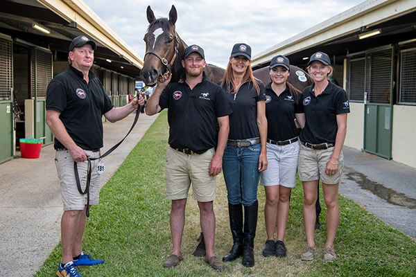 The Mikki Isle colt from In the Clear made a lot of people happy when he sold for $500,000!