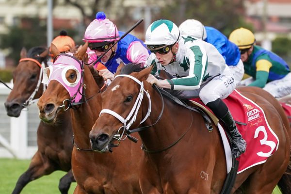 A second stakes success for Mileva (image Scott Barbour/Racing Photos)