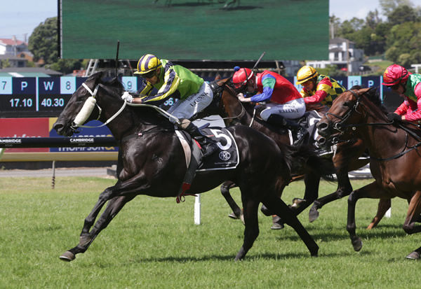 Milford defeats Cheaperthandivorce to produce a Savabeel stakes quinella - photo Trish Dunell. 