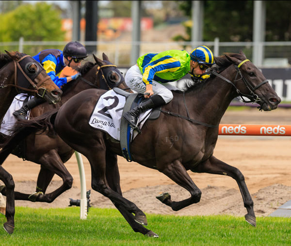 Milford wins the G3 Eclipse Stakes - image Grant Courtney
