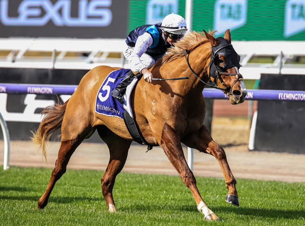 Mimosas wins on debut at Flemington - image Grant Courtney