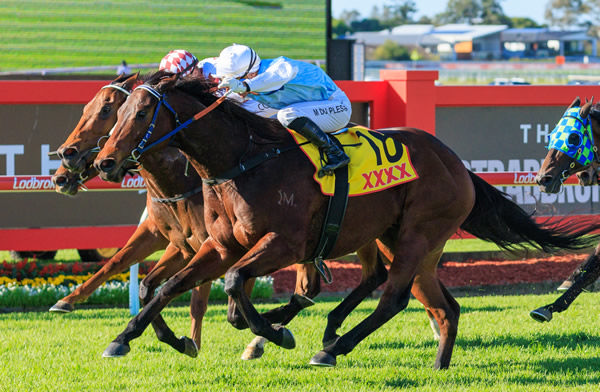 Mishani Sniper claims a Black Type win at Doomben - image Grant Courtney