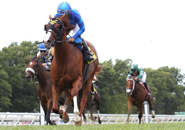 Miss Alacrity (Fasig-Tipton)