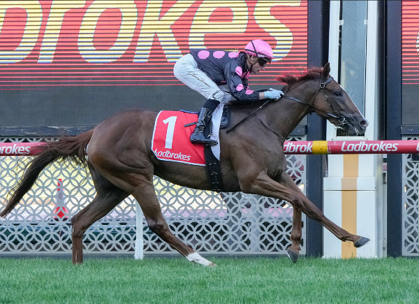 Miss Altair wins in style at Moonee Valley - image George Salpigtidis / Racing Photos