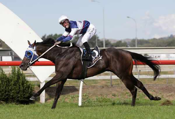 Miss Ella winning the Listed Grangewilliam Stud “Derryn” Oaks Prelude (1600m) at Pukekohe on Wednesday. Photo: Trish Dunell