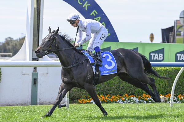 Miss Freelove wins at Warwick Farm on Monday - image Bradley Photos