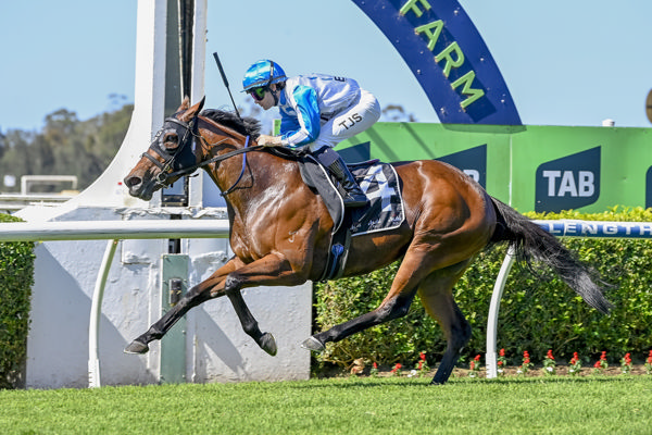 Miss Hades salutes at Warwick Farm - image Bradley Photos 