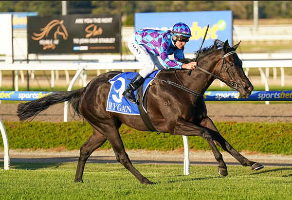 Miss Jennifer wins with a leg in the air at Pakenham - image Scott Barbour / Racing Photos