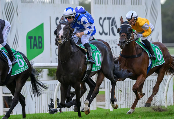 Miss Joelene wins The Wave - image Magic Millions