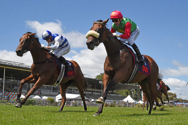 Miss Jones (inside) winning at Te Rapa on Saturday.  Photo: Megan Liefting (Race Images)