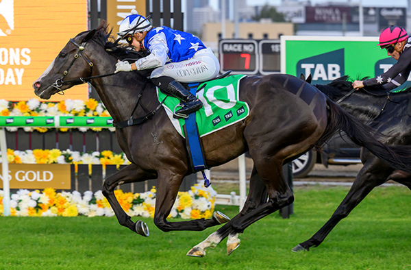 Miss Joelene goes back to back in the $500,000 The Wave - image Magic Millions  