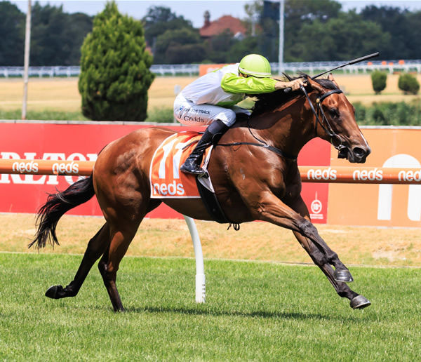 Miss Roseiano wins a G3 on debut - image Grant Courtney