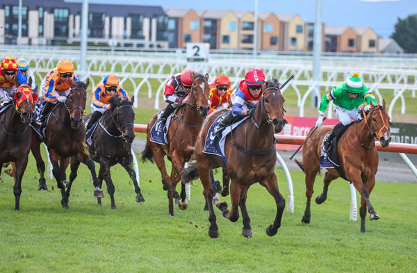 Miss Starlight winning the Listed NZB Canterbury Belle Stakes (1200m) at Riccarton on Saturday.  Photo: Ajay Berry (Race Images South)