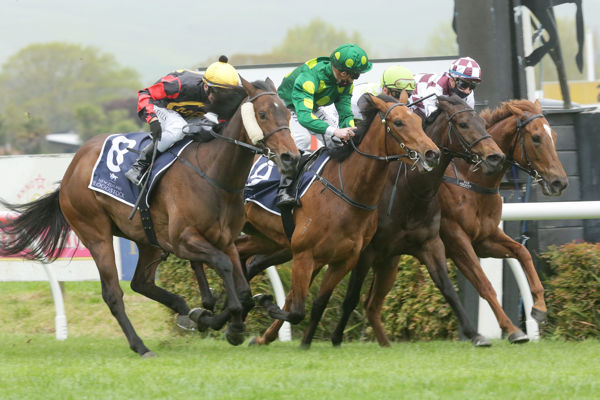 Miss Aotearoa (outer) gets the better of her three-year-old rivals in the Gr.3 Hawke’s Bay Breeders’ Gold Trail Stakes (1200m). Photo: Trish Dunell.