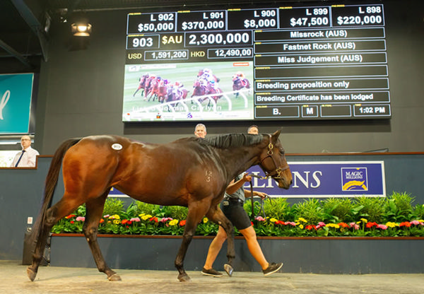 Missrock was a showstopper at Magic Millions selling for $2.3million.