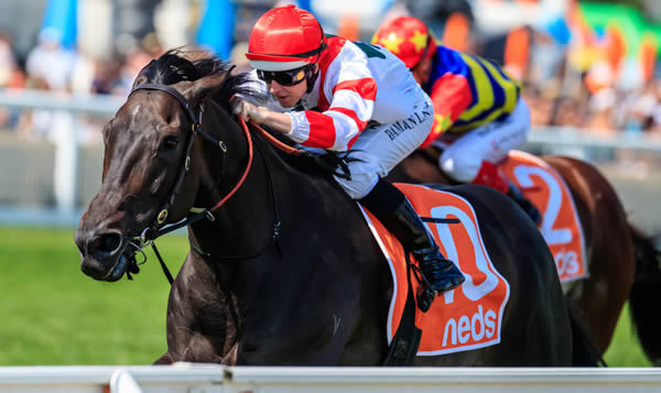 Miss Siska wins the G3 Carlyon Cup - image Grant Courtney  
