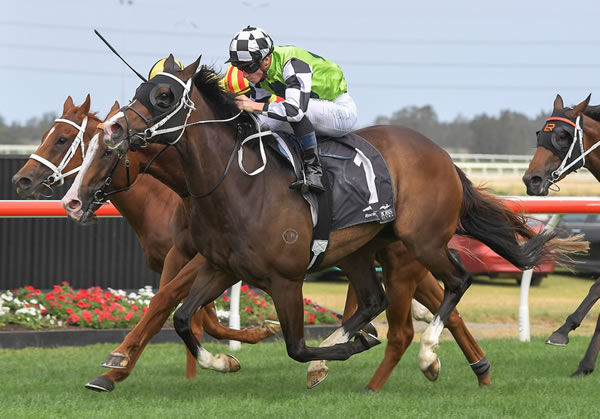 Mister Sea Wolf wins the $1million The Gong - image Steve Hart