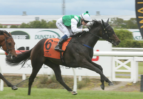 Miss Ipenema is in full flight as she hits the finish line at Te Rapa Photo Credit: Trish Dunell 