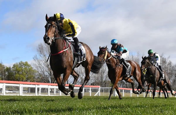 Molly Bloom coasts away from rivals at Taupo on Friday.  Photo: Race Images